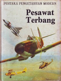 Image of Pesawat Terbang